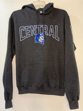 Champion Charcoal Grey CCSU Blue Devils Hoodie Mens Size Small